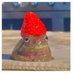 Royal kingdom of frogs