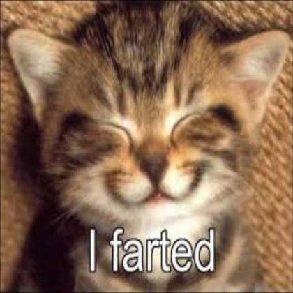 funny cat Roblox decal