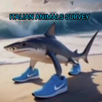 Italian brainrot quiz