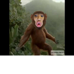 The monkeys within us