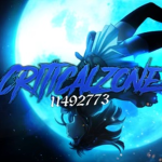 CriticalZone