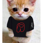 Swagger's Swag