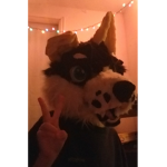 Windy the wolf