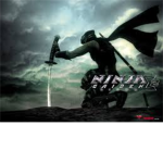 Ninja Assassin!!!