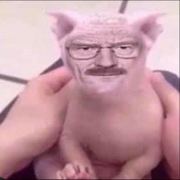 walter black's secret recipe