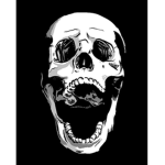 Scr3amingSkullz