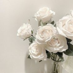 bloom,