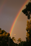 •~Over the Rainbow ~•