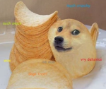 ~The DOGE Squad~