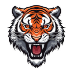 The Tiger community