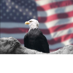UNITED STATES OF AMERICA POLICE,FBI,CIA,
