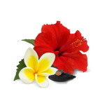 ~*loving flowers*~