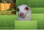 The Roblox Experience Fan group