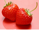 The Strawberry Station