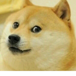 Doge’s Fan Club!!!!