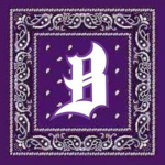 Grape Street Shooterz
