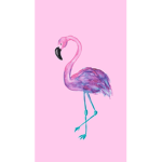 Flamingo Vibe xo