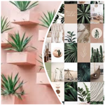 Plant :/