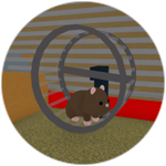 Hamster Wheel
