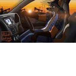 Furrys and cars :3