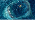 Shark friends!