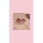 :･ﾟ:･ﾟ-Frosty flakes-:･ﾟ:･ﾟ