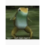 The Nae Nae Army