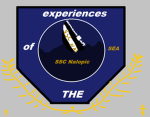 Sinkings Ship Experience