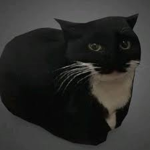 !Maxwell The Cat Club)