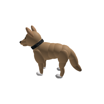 Banjo