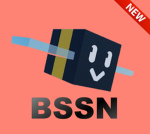 BSSN