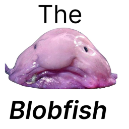 Stare at a Blobfish