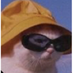 Kangaroo__