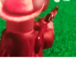 Flamingo' s army