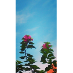 ###### funs