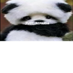 DJ Panda's Fan Group
