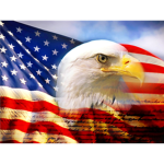 [USR]--Roblox White House--[USR]