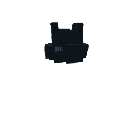 ICE vest