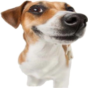 Morally Ambiguous Game