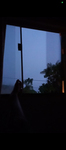 lolo_1301