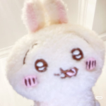 ~Bunny’s appareℓ~