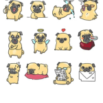 The Love of Pugs
