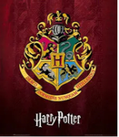 hogwarts ୨୧