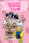 Choco's friendly cats