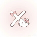 X ≽^• ˕ • ྀི≼