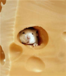 Cheese Co.™