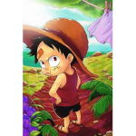 One piece có gì để