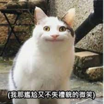 詞窮桑的yt群組