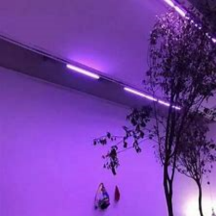 Purple aesthetic Roblox decal