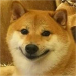 The EpicDoge Clan!
